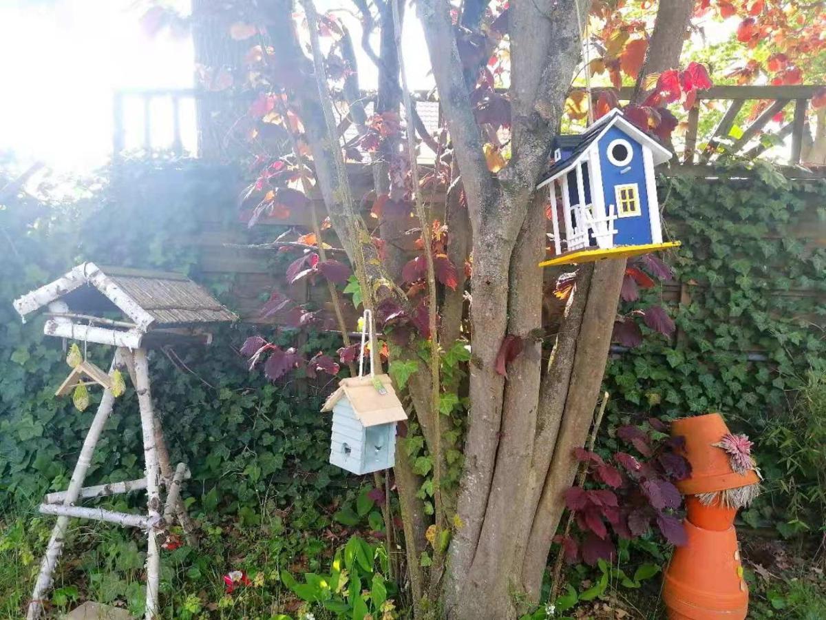 Appartment Daji Lüneburg Eksteriør bilde